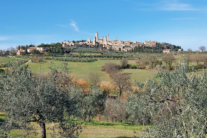 Tuscany Experience: Pisa, Siena, San Gimignano & Wine Tasting - Customer Reviews