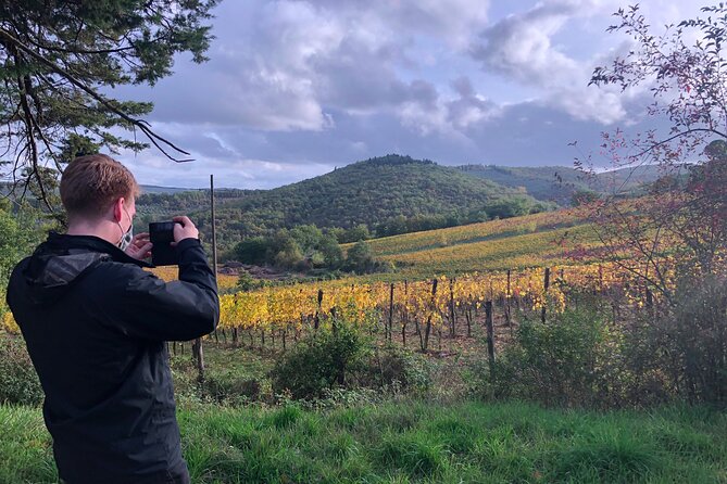 Walking Tour of Chianti Classico With 3 Organic Wine Tasting and Lunch - Customer Reviews