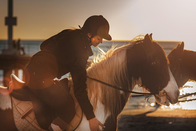 Beach Rides Experience in Rome - Beach Riding Route