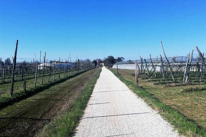 Bike Tour With Honey and Artichokes on Sant'erasmo Island - Island Stay or Return Option