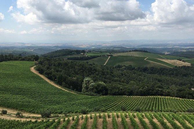 Chianti Classico E-Bike Tour - Directions and Travelers Experience