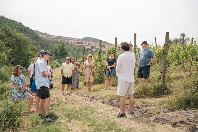 Cortecorbo Winery: Ravioli & Tiramisu Cooking Class-Wine Tasting - Taste of Italy