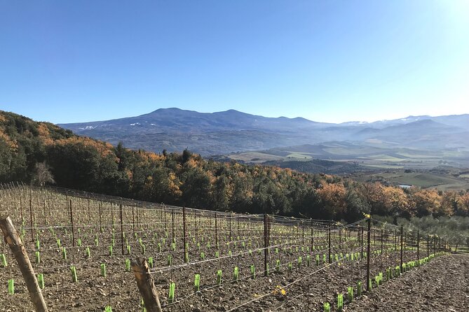 Discover Brunello Wines With Diwine Experience - Recent Customer Testimonials