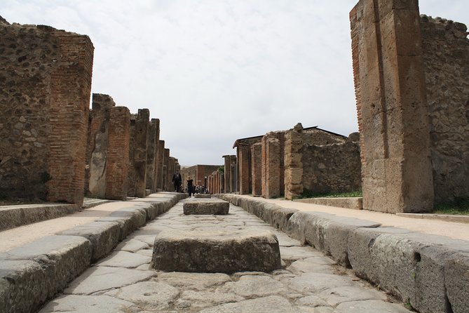 Half-Day Exclusive Private Tour of Pompeii and Herculaneum - Customer Reviews