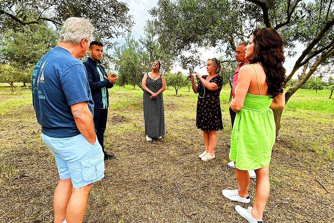 Olive Grove Tour With Wine & Olive Oil Tasting in Balestrate - Meeting Point Details