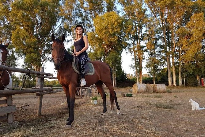 Picnic on Horseback in Rome - Transportation Options