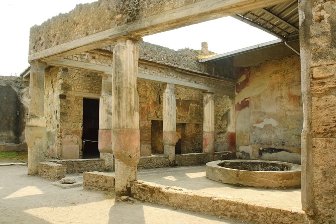 Pompeii, Vesuvius, Wine Tasting and Light Lunch All Inclusive - Customer Reviews