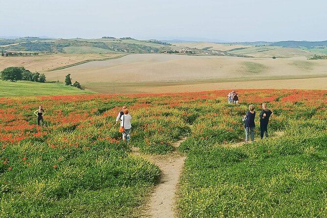 VIP Wine Experience Montalcino & Montepulciano With Lunch - Tour Itinerary