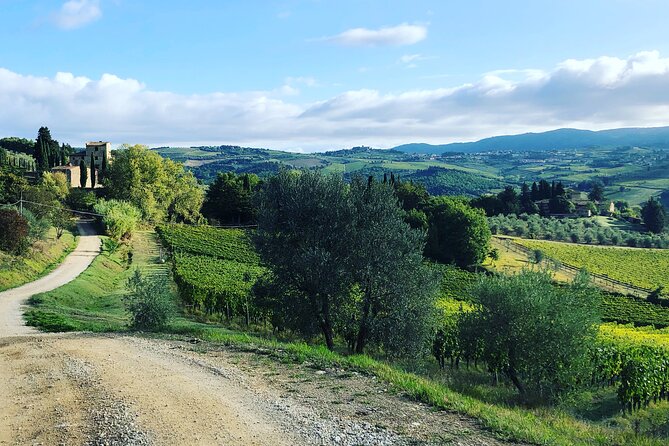 Walking Tour of Chianti Classico With 3 Organic Wine Tasting and Lunch - Guide Information