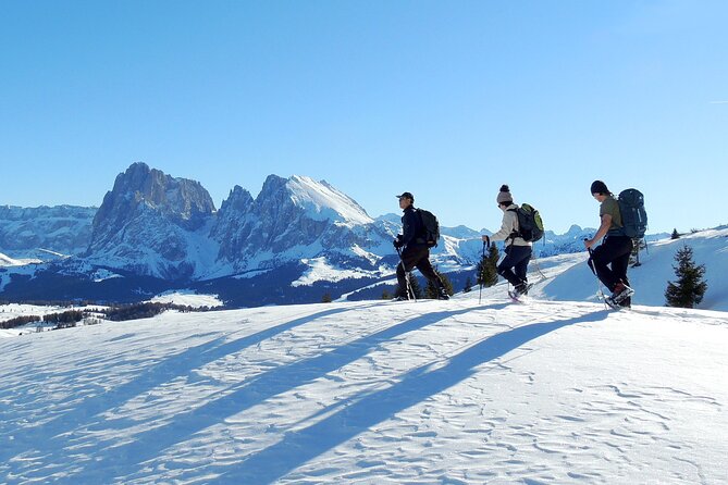 Bolzano Dolomites: Winter Hiking & Sledding Experience - Children & Weather Requirements