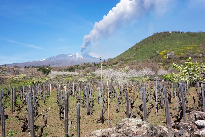 Etna Private Tour From Messina Cruise Terminal + Lunch at Winery - Safety Measures