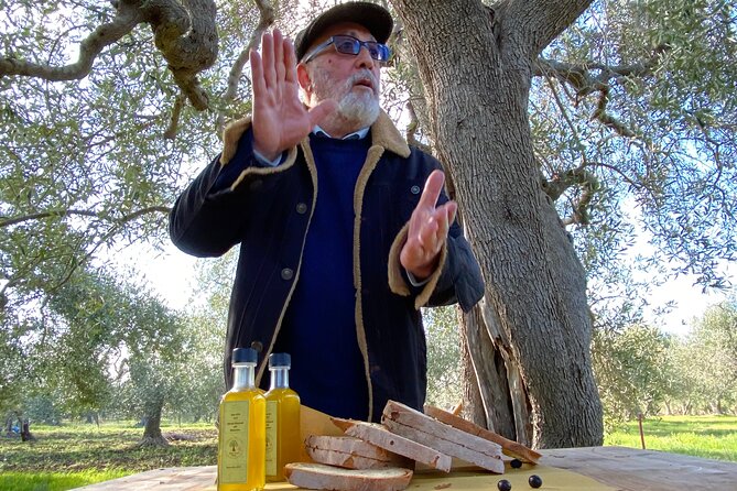 Food and Wine Tour Between the Patriarchs Olives and the Oil Temples - Negative Feedback Response