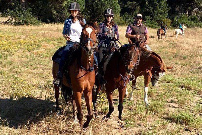 Picnic on Horseback in Rome - Accessibility and Return Options