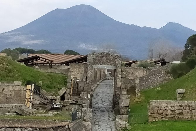 Private Archaeologist Service to Explore Pompeiis Secrets Any Time Ticket Incl. - Testimonials