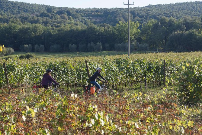 PRIVATE Civita Di Bagnoregio and Orvieto Wine Tasting -Ebike Tour - Travelers Testimonials