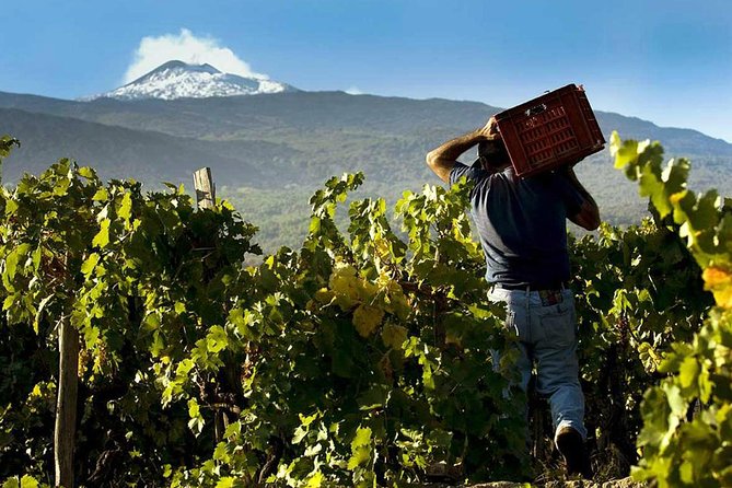 Private Etna Tour From Messina Cruise Terminal+ Lunch at Winery - Cancellation Policy and Refunds