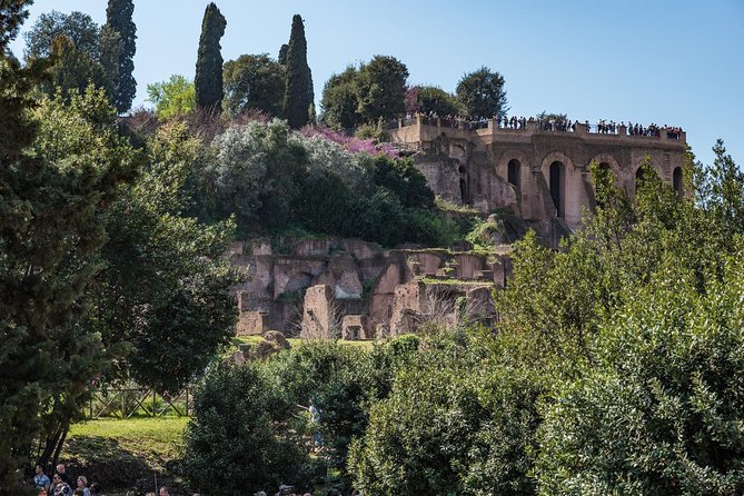 Private Tour of the Colosseum With Roman Forum & Palatine Hill - Customer Reviews