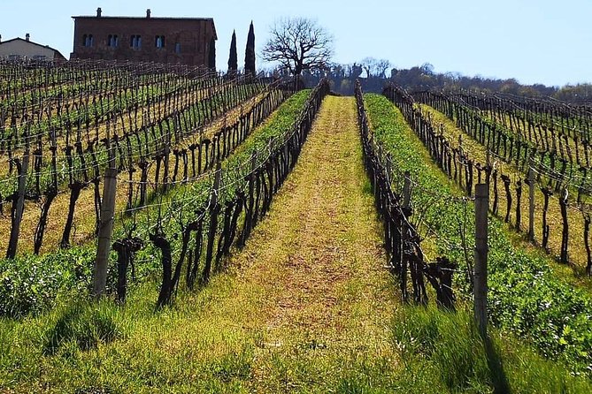 Unique Enobike Experience With Tasting in 2 Excellent Wineries - Reservation and Booking Information