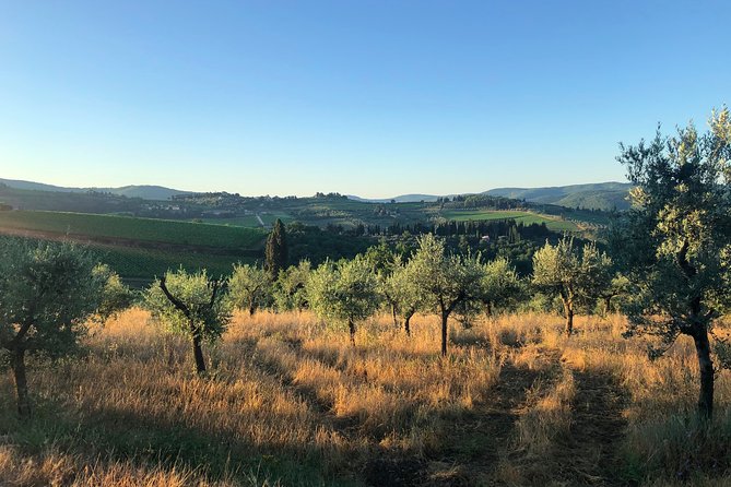 Walking Tour of Chianti Classico With 3 Organic Wine Tasting and Lunch - Additional Information