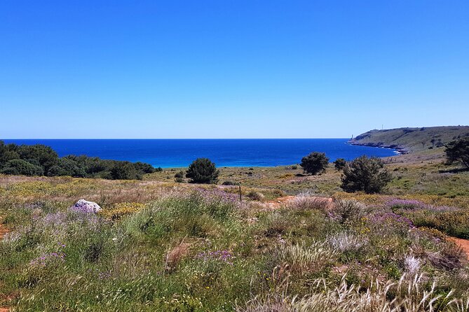 Full Day Tour of Otranto City and Its Amazing Seacoast From Lecce - Important Reminders