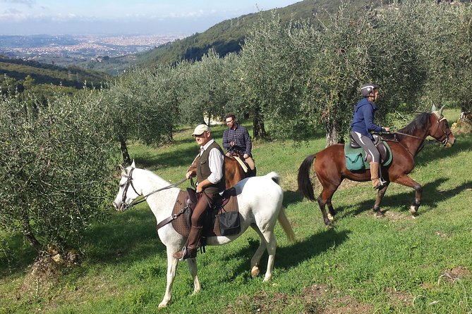 Horse Ride, Olive Oil and Local Foods Tasting in a Tuscan Farm - Olive Oil Tasting and Lunch