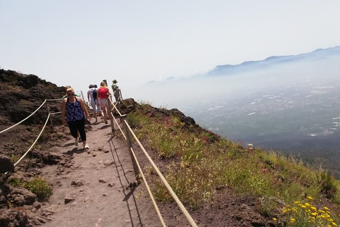 Mount Vesuvius Tour by Bus and Ticket Included From Ercolano - Feedback and Suggestions