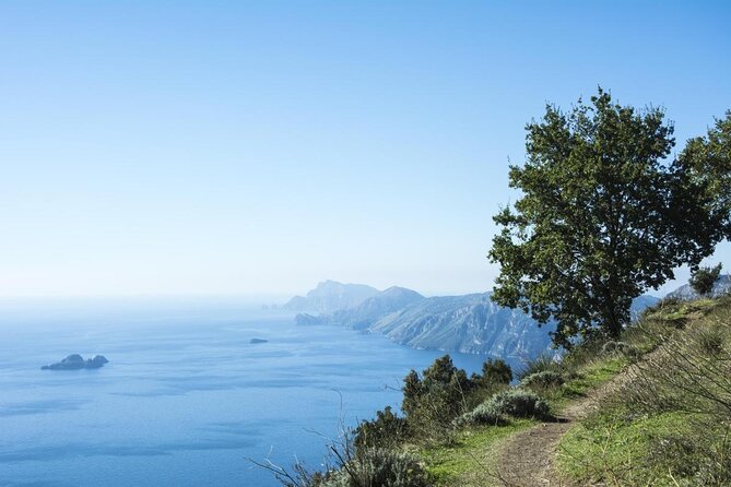 Amalfi Coast Private Tour Fm Sorrento Including Amalfi, Path of Gods & Positano - Just The Basics