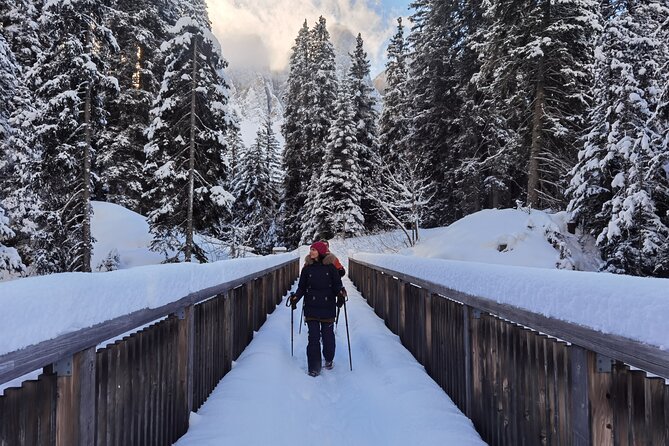 Bolzano Dolomites: Winter Hiking & Sledding Experience - Just The Basics