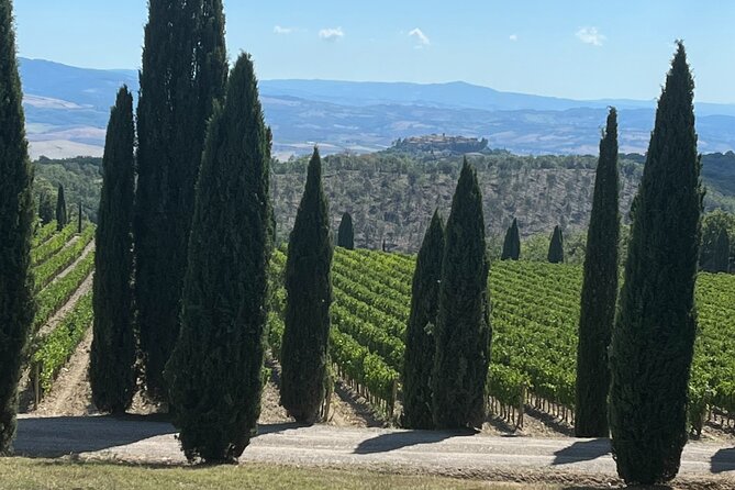 Discover Brunello Wines With Diwine Experience - Just The Basics