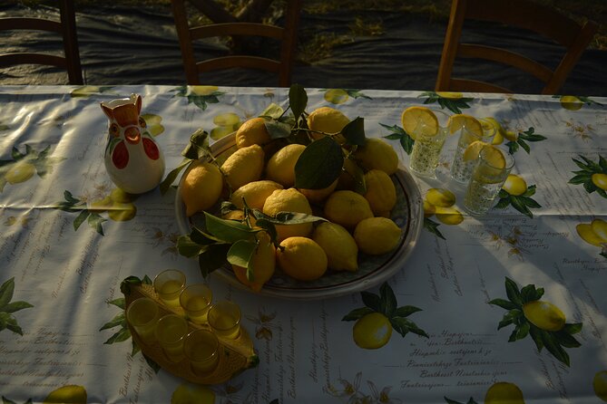 Discovery Tour of Sorrento Lemon in Massa Lubrense - Just The Basics