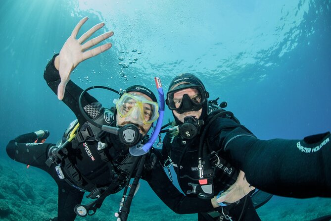 Guided Diving for Beginners Without Certification From Sorrento - Just The Basics