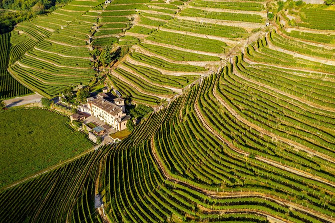 Lake Como & UNESCO Dry-stone Walls Vineyards - Just The Basics