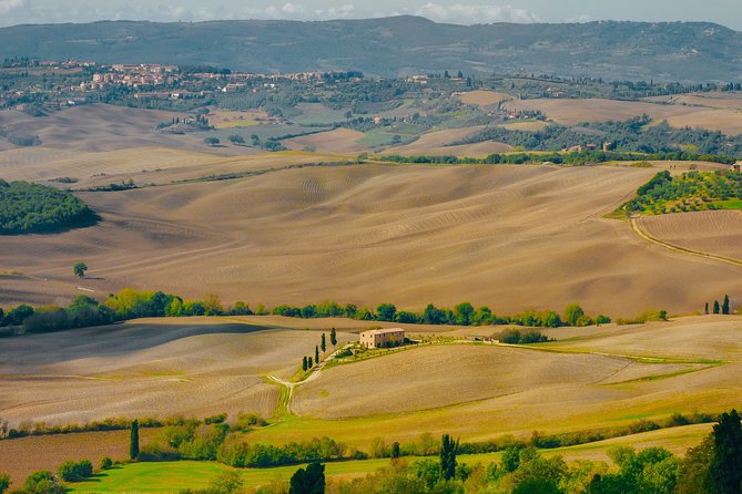 Montepulciano: Wine Tasting & Lunch in a Typical Winery - Just The Basics