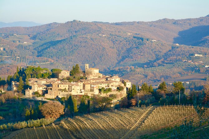 Private Tour: Chianti Region Tour by Minivan - Just The Basics