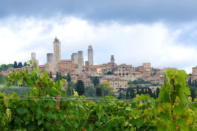 Private Tour: San Gimignano Walking Tour - Just The Basics