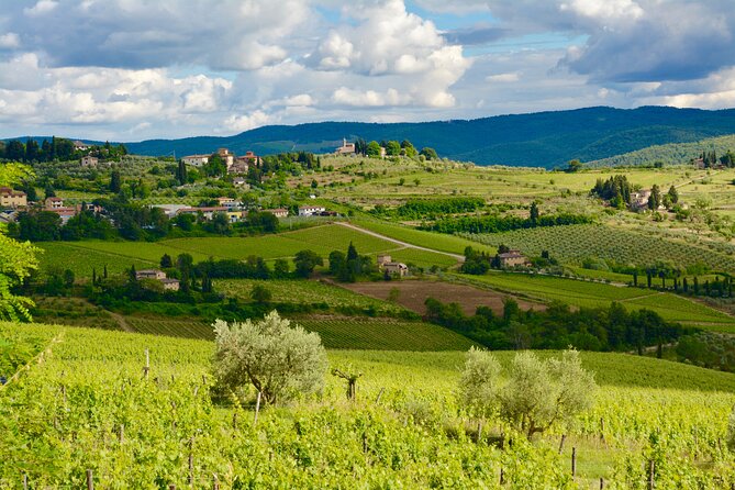 Private Tuscany Day Tour: San Gimignano and Chianti Wine Region From Florence - Just The Basics