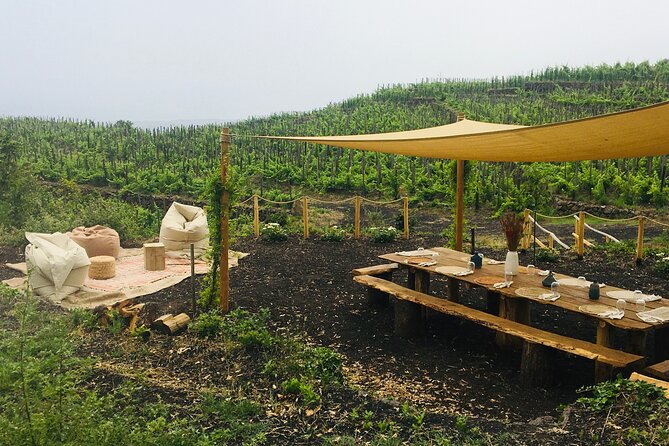 Private Wine and Food Tasting Immersed in Nature in Milo - Just The Basics