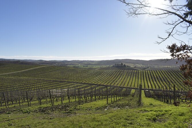 Small Group E-Bike Chianti Tour With Farm Lunch From Siena - Just The Basics