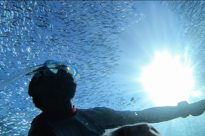 Snorkel Tour in Paraggi Bay - Just The Basics