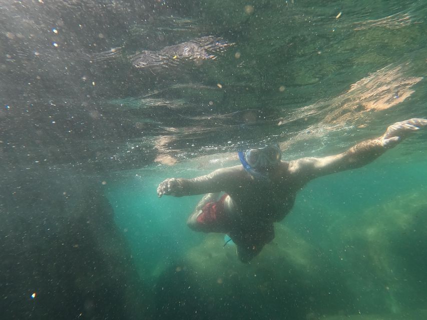 Snorkeling Experience in Ischia With Local Guide - Just The Basics