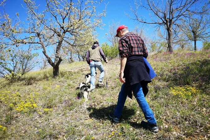 The Real Truffle Hunting in Abruzzo - Just The Basics