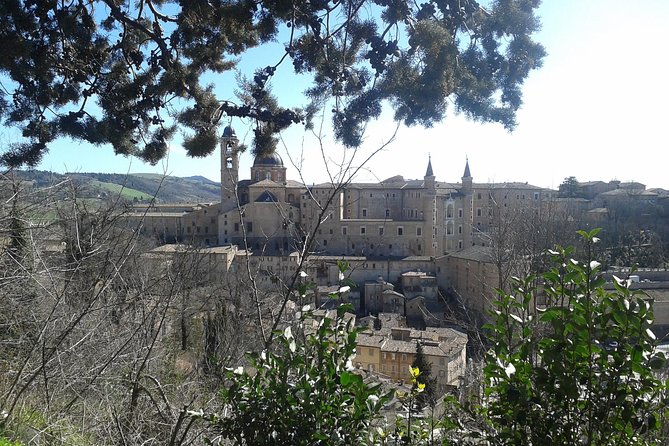 Visit of the Ducal Palace of Urbino - Just The Basics